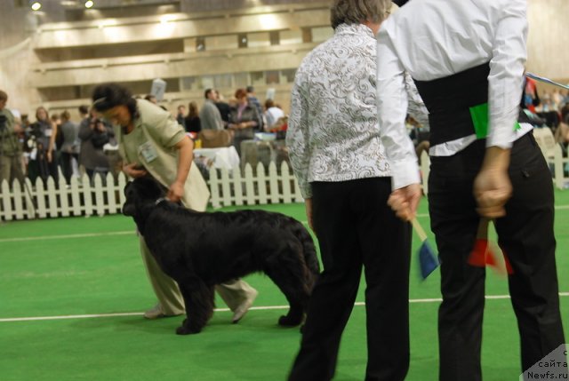 Фотография № 82122