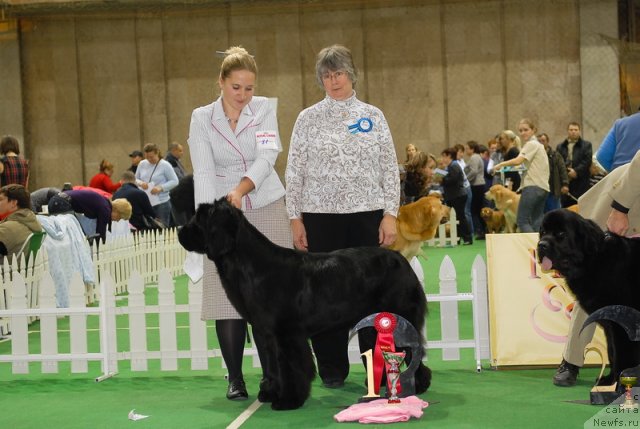 Фотография № 82123