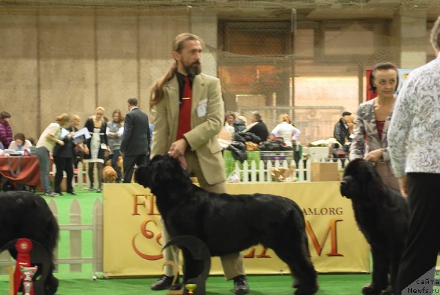 Фотография № 82126