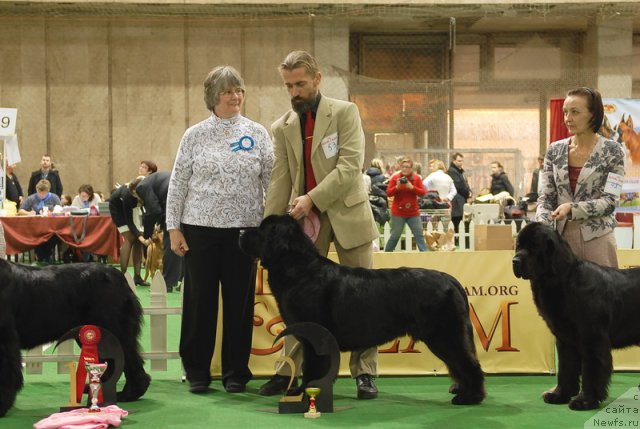 Фотография № 82127