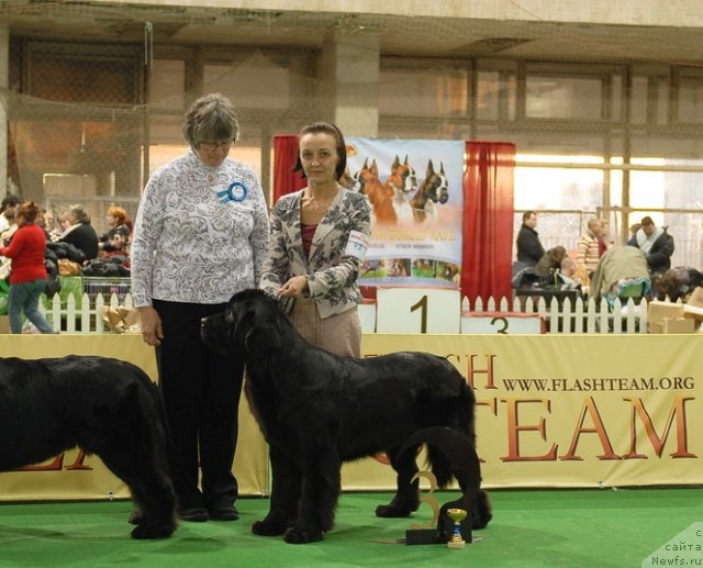 Фотография № 82130