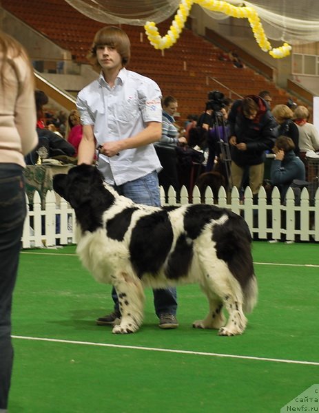 Фотография № 82133