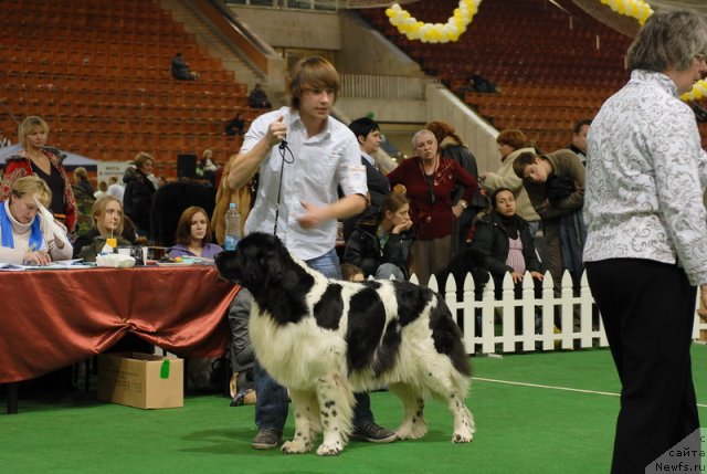 Фотография № 82134