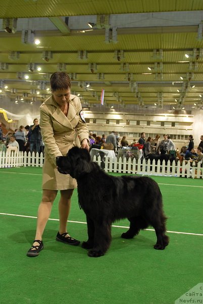 Фотография № 82138