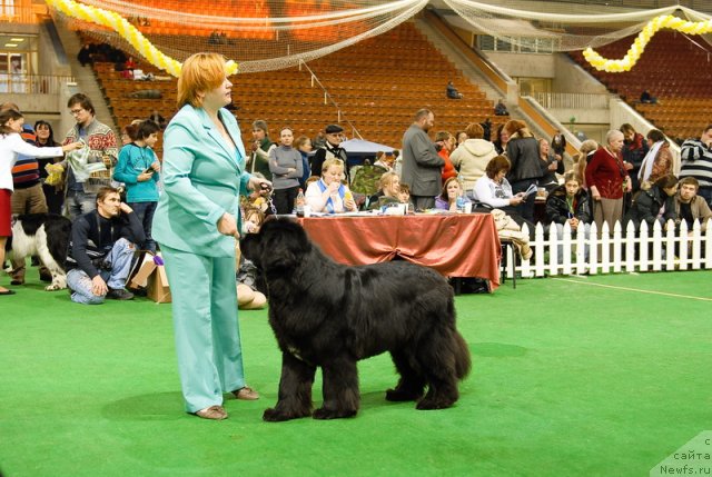 Фотография № 82141