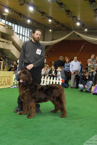 Фотография № 82142