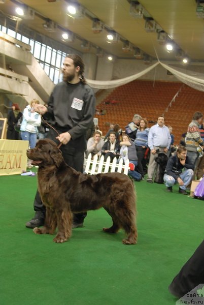 Фотография № 82143