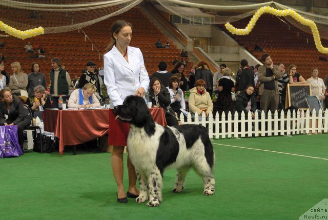 Фотография № 82146