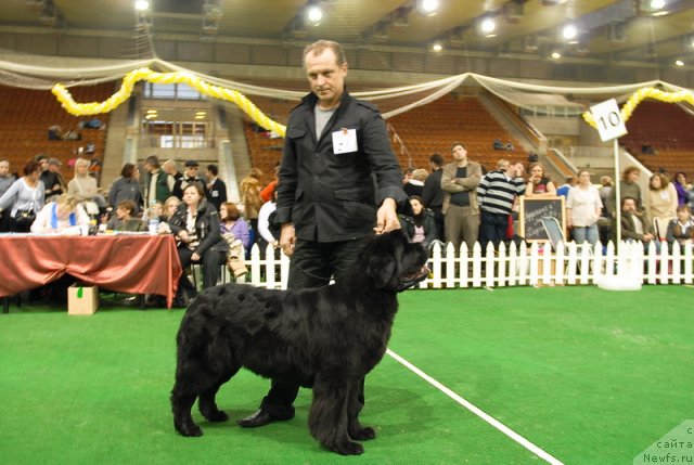 Фотография № 82147