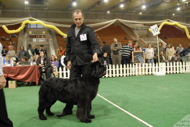 Фотография № 82148