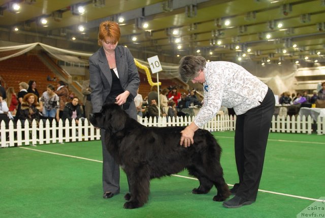 Фотография № 82149