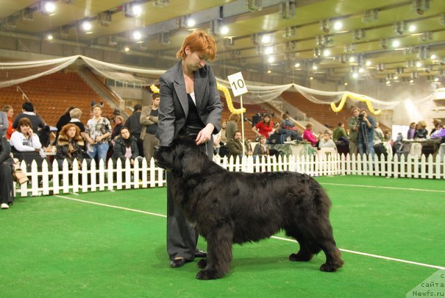 Фотография № 82151