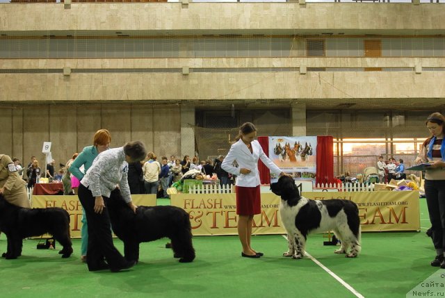 Фотография № 82153