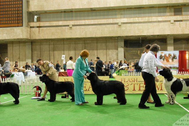 Фотография № 82154