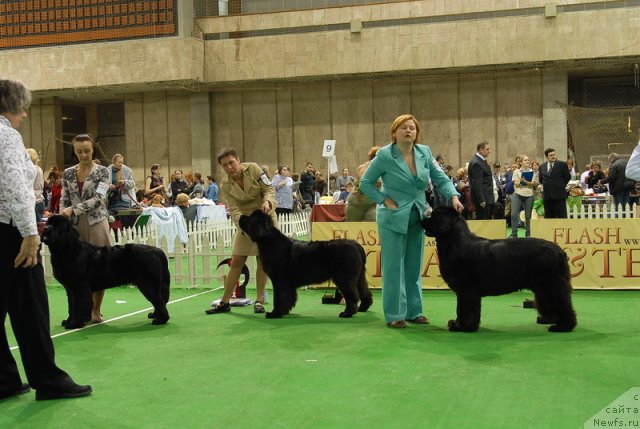 Фотография № 82157