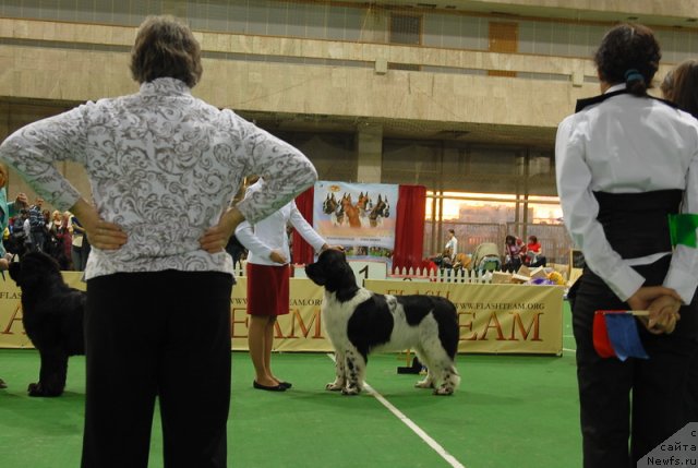 Фотография № 82158