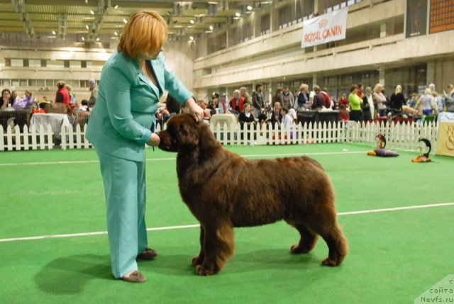 Фотография № 82167