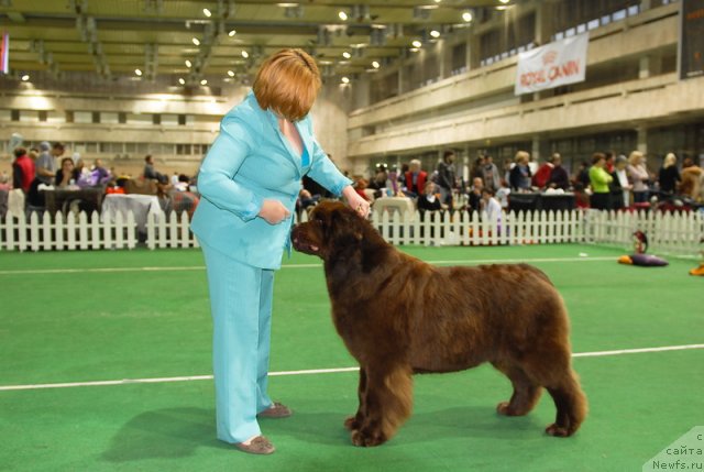 Фотография № 82168