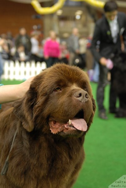 Фотография № 82172