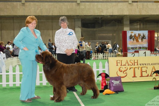 Фотография № 82173