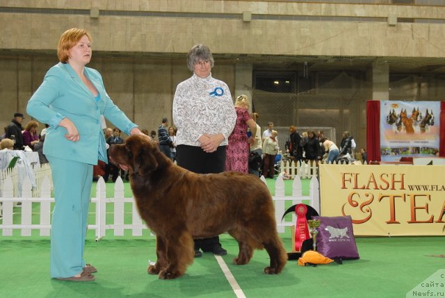 Фотография № 82174