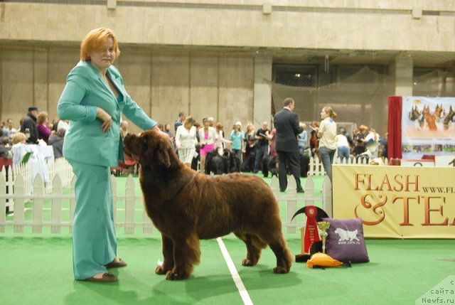 Фотография № 82176