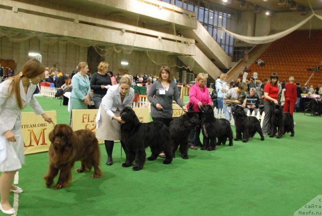 Фотография № 82177