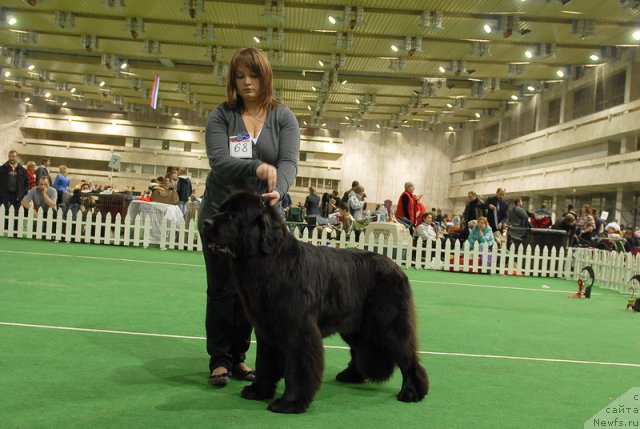 Фотография № 82179