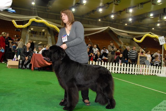 Фотография № 82180