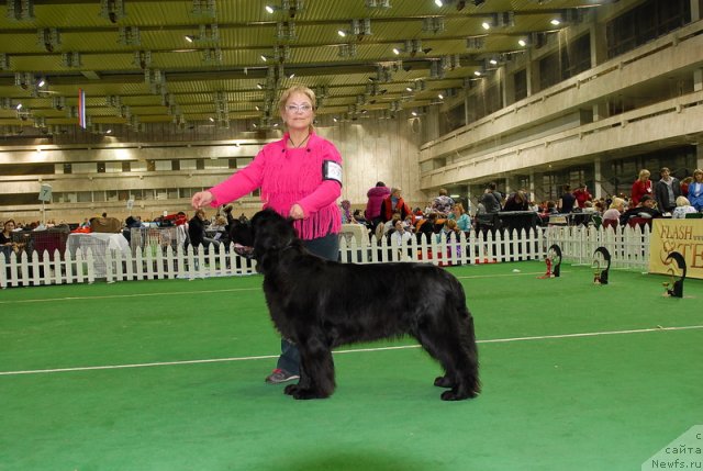 Фотография № 82183