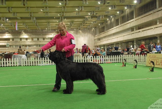 Фотография № 82184