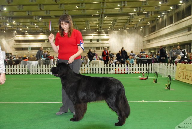 Фотография № 82185