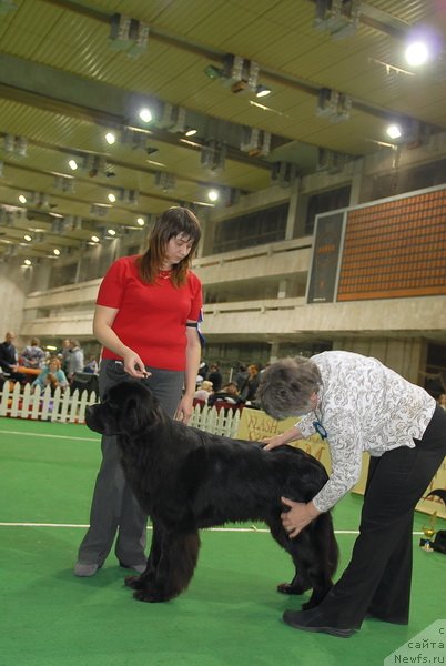 Фотография № 82186