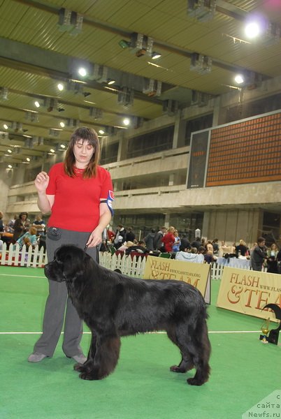 Фотография № 82187