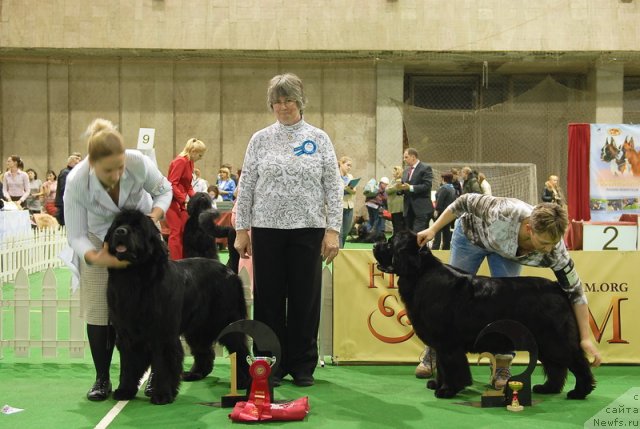 Фотография № 82192