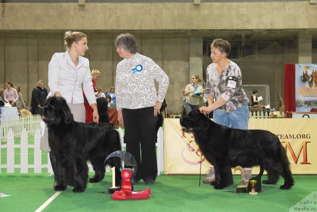 Фотография № 82193