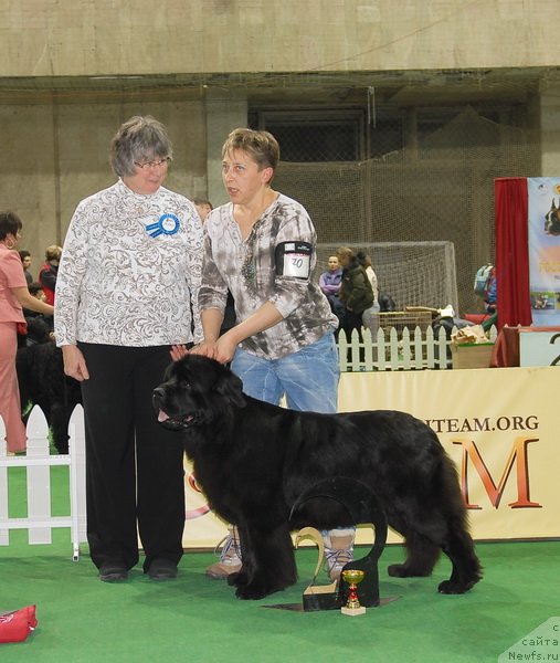 Фотография № 82195