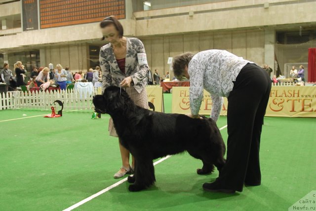 Фотография № 82198