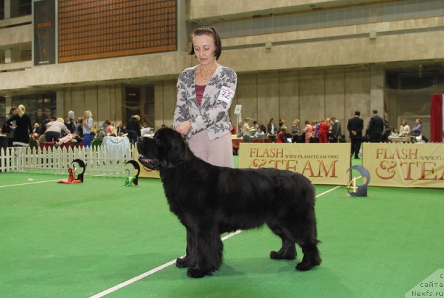 Фотография № 82200