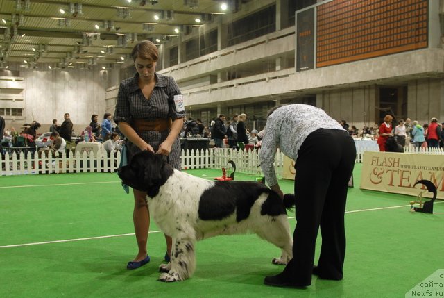 Фотография № 82201