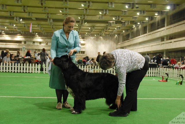 Фотография № 82204