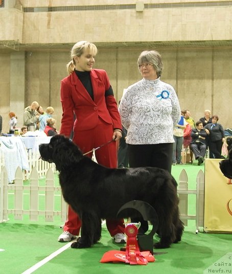 Фотография № 82208