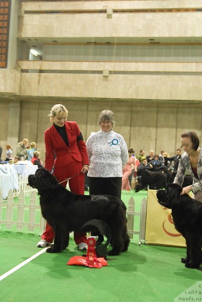 Фотография № 82209