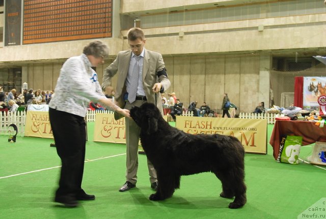 Фотография № 82220