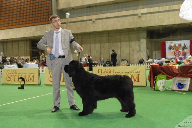 Фотография № 82221