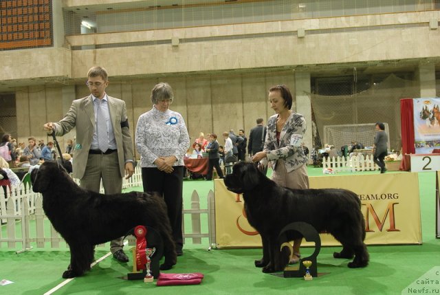 Фотография № 82224