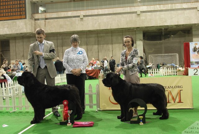 Фотография № 82225