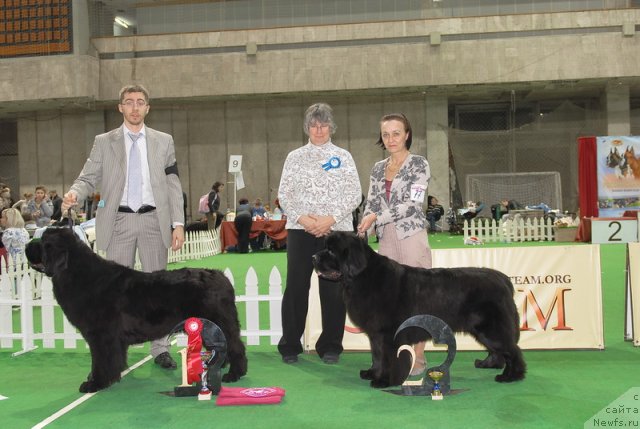 Фотография № 82227