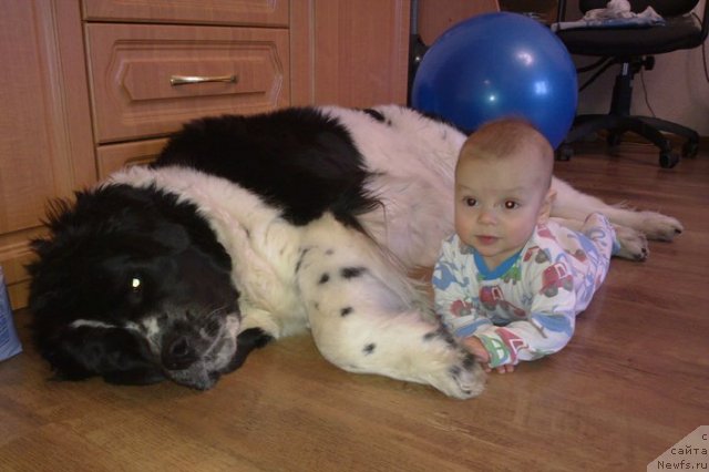 Фотография № 82284