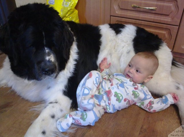 Фотография № 82285